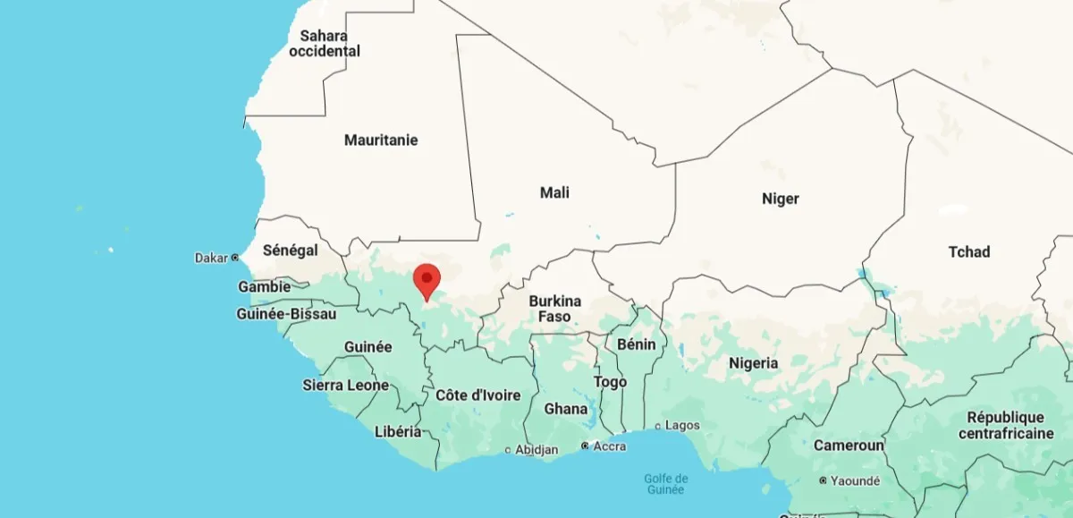 Protesters in Bamako holding signs against political party dissolution