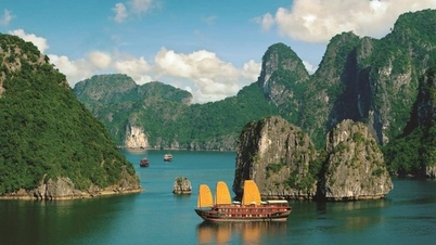 Approbation du projet d’élaboration du Plan de conservation et de développement du potentiel de la baie d’Ha Long jusqu’en 2035, avec une vision à l’horizon 2050.