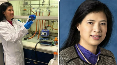 Les travaux de ce professeur d'origine vietnamienne sont présentés lors d'une prestigieuse exposition scientifique britannique.