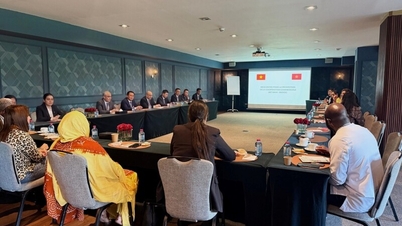 Renforcer les liens commerciaux entre le Vietnam et le Maroc par le biais d'activités de promotion du commerce.