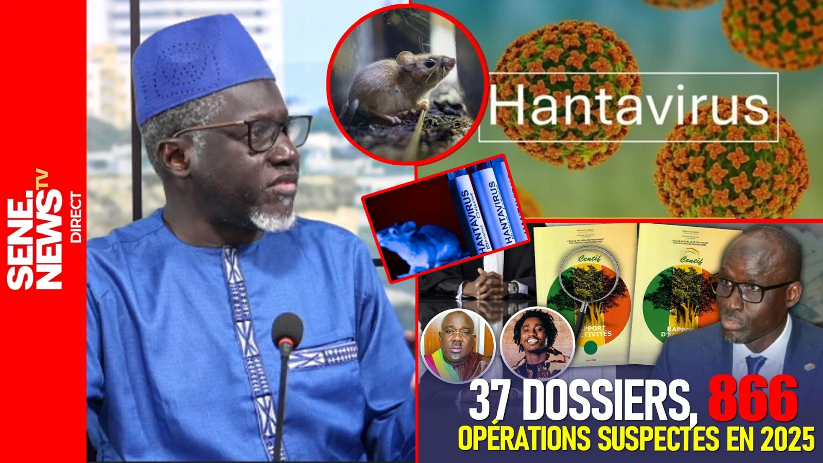 Health officials in discussion during hantavirus outbreak in Sénégal