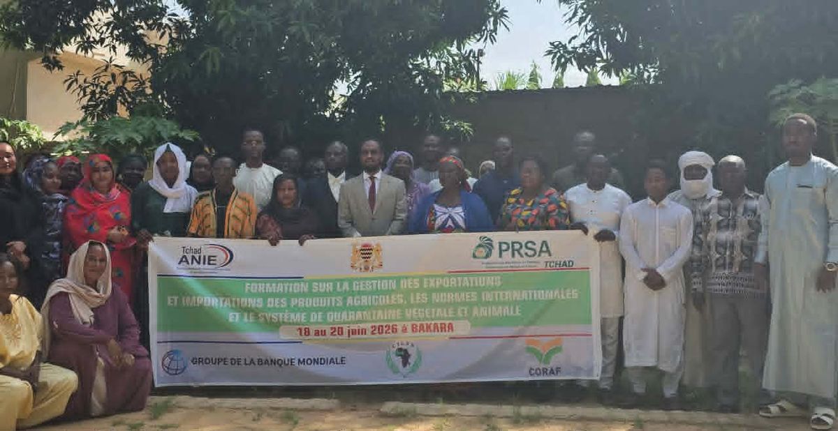 Chad strengthens skills for better agricultural export management