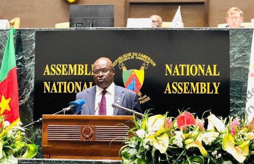 Diplomatic meeting at Cameroon's National Assembly