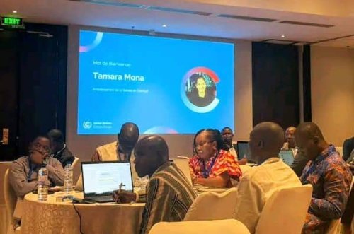 Gabon’s climate delegation discusses rural electrification strategies in Dakar