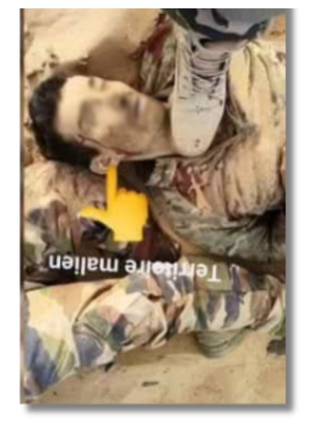 Comparison of body positions and facial features confirms the fake image’s origin