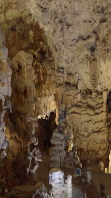 La beauté rafraîchissante des grottes de Postojna en Slovénie (France 2)