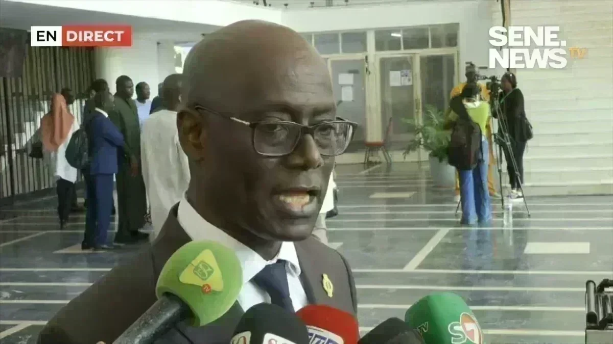 Thierno Alassane Sall delivers a speech during a legislative session